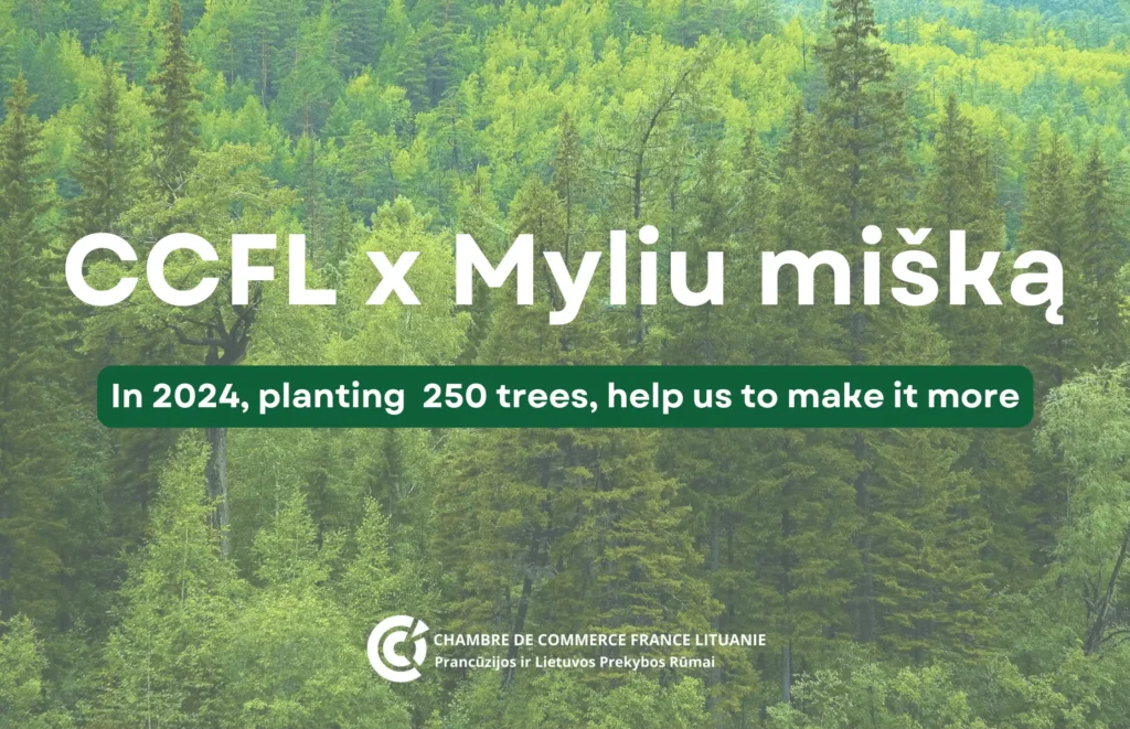 Illustration de l'article : CCFL partnered with Myliu mišką