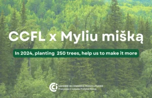 Illustration de l'article : CCFL partnered with Myliu mišką