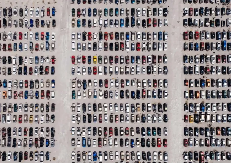 Illustration de l'article : Members News | Paris Motor Show 2024
