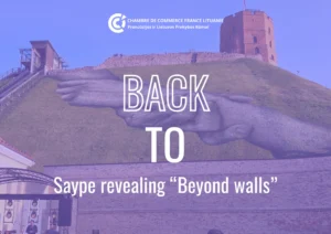 Illustration de l'article : BACK TO | Saype revealing "Beyond Walls"