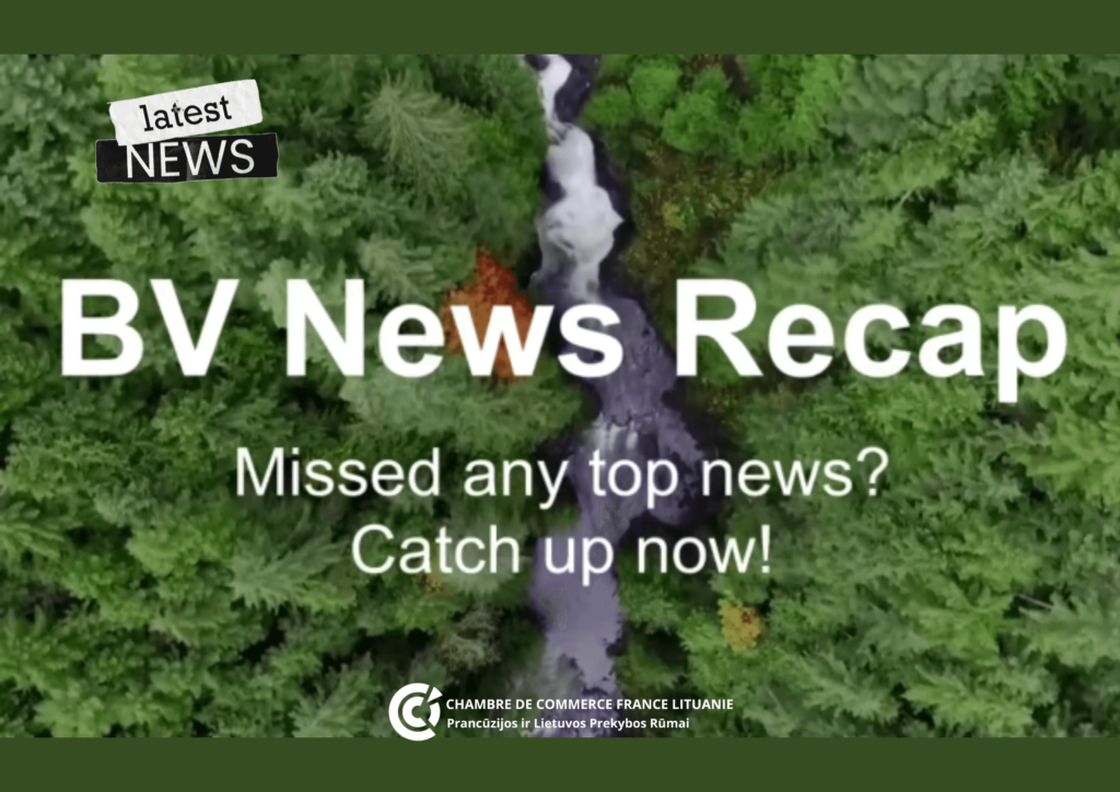 Illustration de l'article : Member News | Bureau Veritas provided 2024 insights