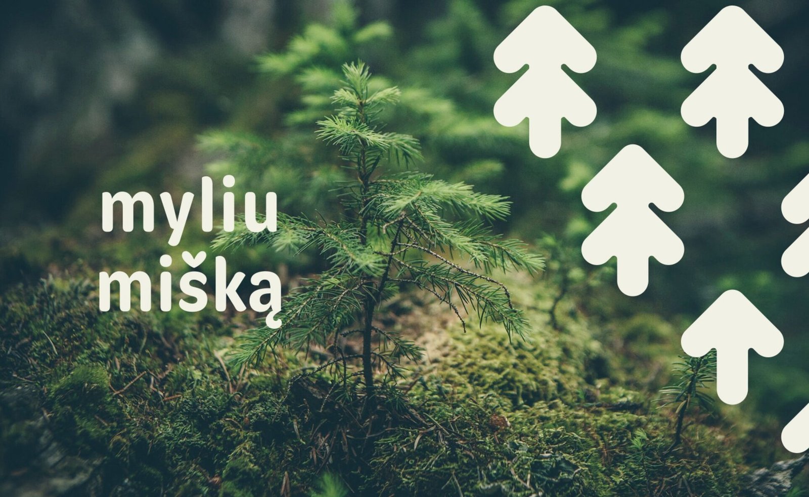 VŠĮ Myliu Mišką