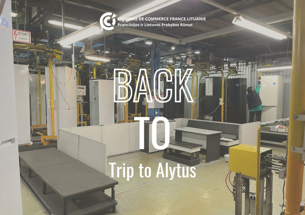Illustration de l'article : Back to | Trip to Alytus