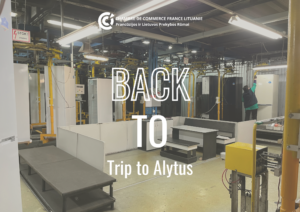 Illustration de l'article : Back to | Trip to Alytus