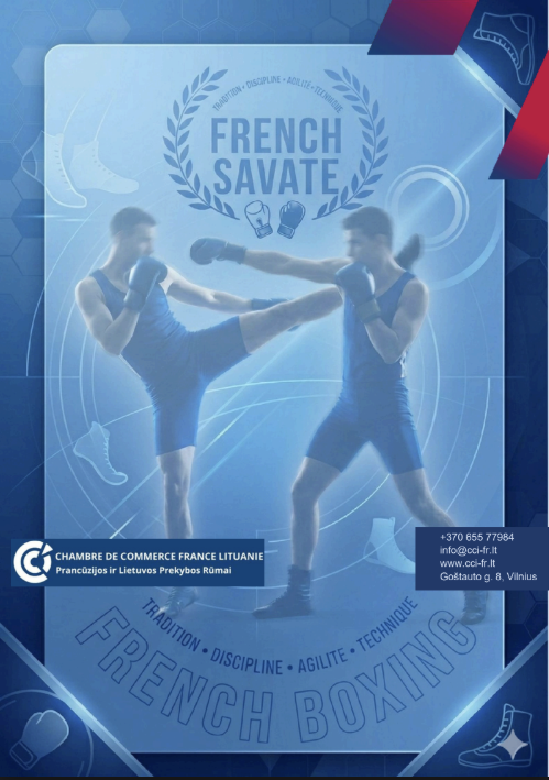 Visuel de la page consacrée à la savate, boxe française