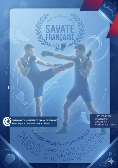 Visuel de la page consacrée à la savate, boxe française