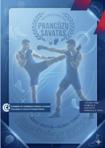 Visuel de la page consacrée à la savate, boxe française