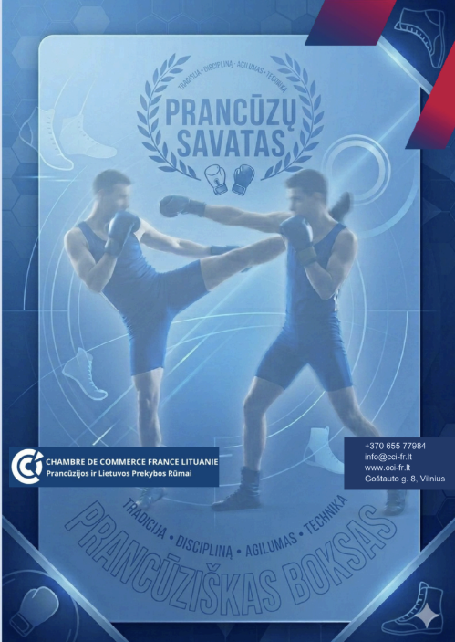 Visuel de la page consacrée à la savate, boxe française