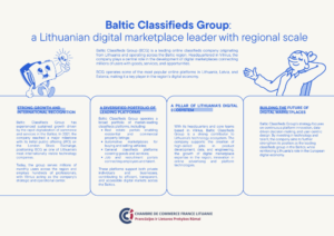 Visuel de la page sur la licorne lituanienne Baltic Classifieds Group